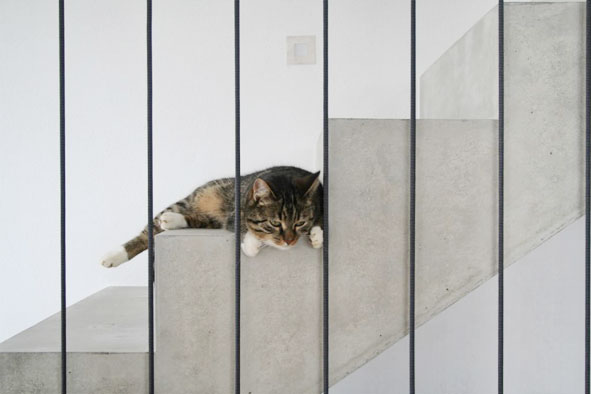 Neubau EFH Rederzhausen 2014 Hicker Architekten