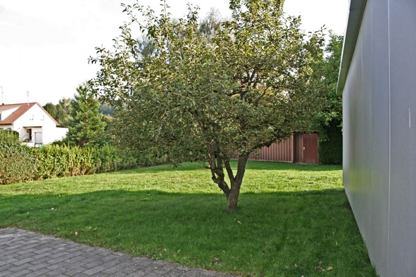 Neubau eine EFH mit Doppelgarage in Horgau