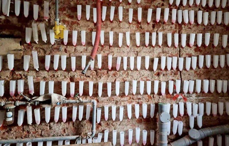 Komplettsanierung im Ensemblebereich der Stadtmauer Friedberg 2023 - Bauphase